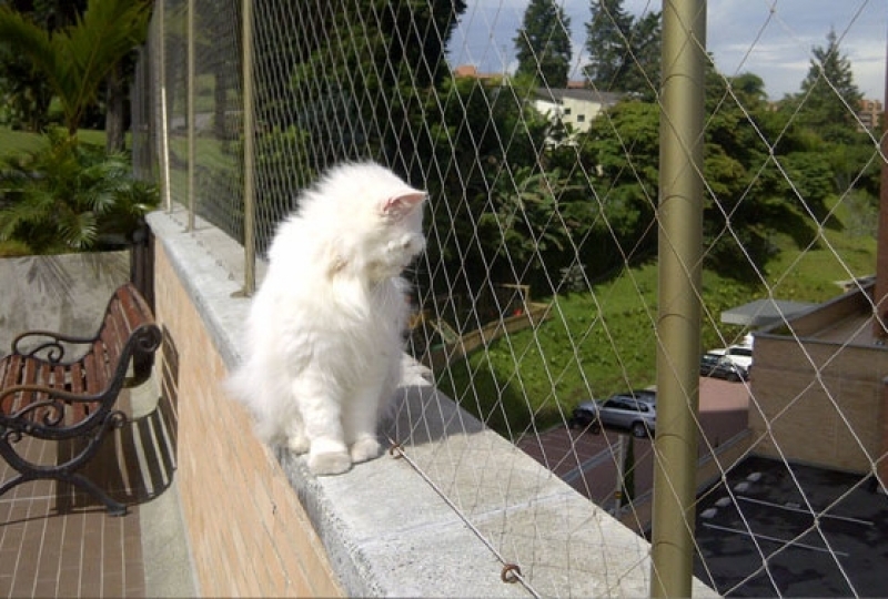 Instalação de Redes de Proteção para Gatos Sacadas Ponte Rasa