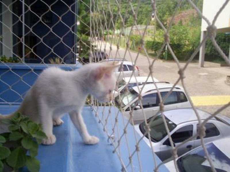 Instalação de Redes de Proteção para Gatos Sacadas Valor Saúde